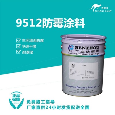 9512防霉涂料
